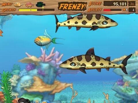 Feeding Fenzy || siêu cá mập