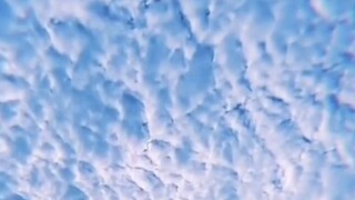 best video