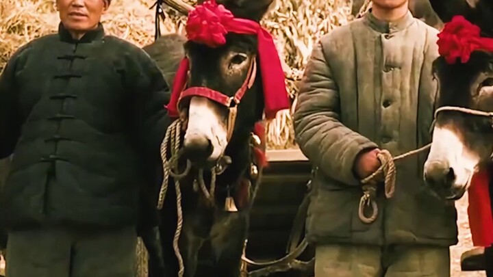 A man actually challenges a donkey to a fight to the death!