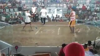 rapror gilmoree win