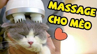 Massage cho mèo có giống như game Adorable Home? | The Happy Pets #38