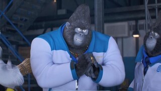 【What to say】Singing bully! The strongest second party on earth, beat up investors. The boss's money