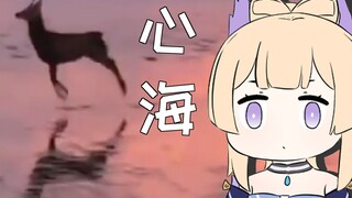 Some coral palaces and heart seas just jumped and then disappeared