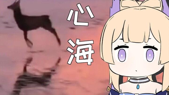 Some coral palaces and heart seas just jumped and then disappeared
