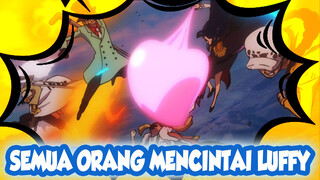 Dia Percaya pada Marinir Lebih Dari Siapa Pun | Film One Piece Z