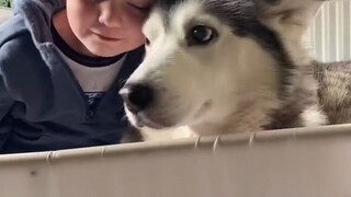 The child is growing up slowly, and the dog is visibly getting old, but the love between them remain