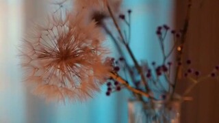 Anh Ấy Thật Hoang Dã ( Mã Tiểu Vũ , Tượng Vận Khiết ) Full Vietsub