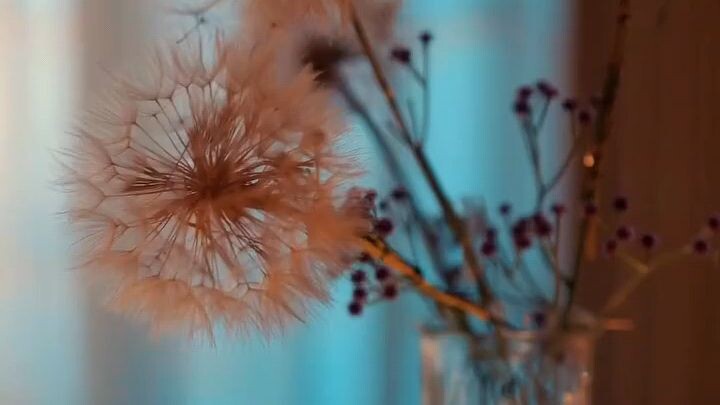 Anh Ấy Thật Hoang Dã ( Mã Tiểu Vũ , Tượng Vận Khiết ) Full Vietsub