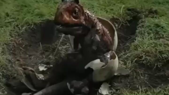 ketika lu pelihara dinosaurus