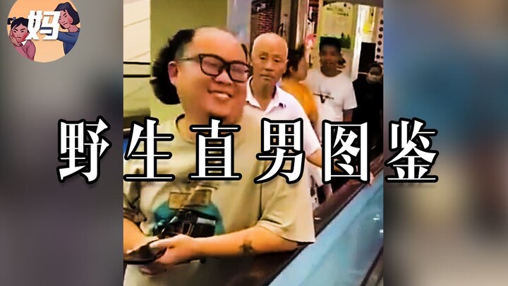 【野生人类图鉴】还说你不是直男