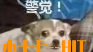 【SEVENTEEN】军训小十七舞蹈现场HIT重击