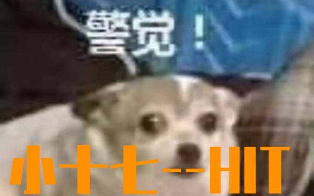 【SEVENTEEN】军训小十七舞蹈现场HIT重击