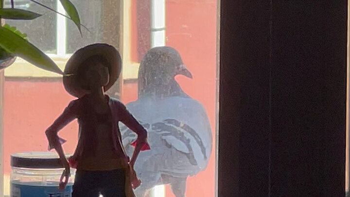 Jianjun terus-menerus ngoceh tanpa henti. Aku bangun dan lihat, ternyata ada seekor merpati dengan p