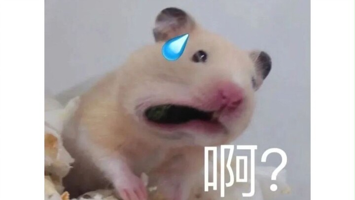 请把“普通”的权利还给大众吧