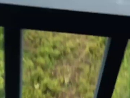 大妈真会