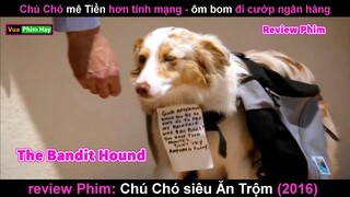 Chú chó Mê tiền hơn Tính mạng đi Cướp ngân hàng và cái kết - review phim Chú Chó Siêu Ăn Trộm