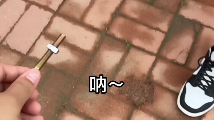 It's all your fault for making me use a screw as a belt buckle—just you wait and see how I deal with