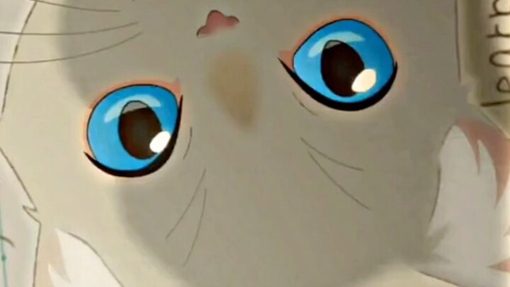 This mask can turn a girl into a cat