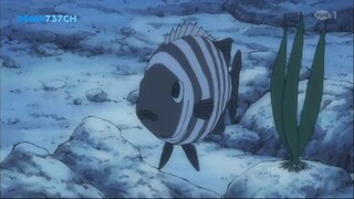 Doraemon (2005) episode 217