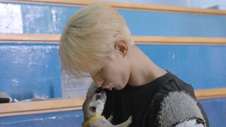 [SEVENTEEN’s SNAPSHOOT] EP.65 我们成好朋友了♥