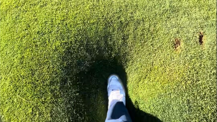 维护一个高尔夫球场究竟有多麻烦？