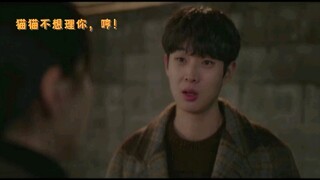 【那年我们】我太喜欢这一段了！