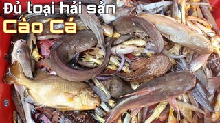 Trở Lại Nghề ''CÀO CÁ'' Đủ Loại Hải Sản | Ngư Dân Miền Tây