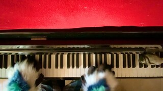 【Piano】Claws and Claws Shallowly Playing Big Fish and Begonia Impression Song｜ Big Fish