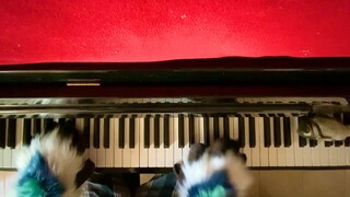 Piano】Cakar dan Cakar Dangkal Memainkan Lagu Kesan Ikan Besar dan Begonia｜ Ikan Besar