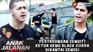 PERTARUNGAN SENGIT! KETUA GENG BLACK COBRA DIBANTAI SENSEI - ANAK JALANAN