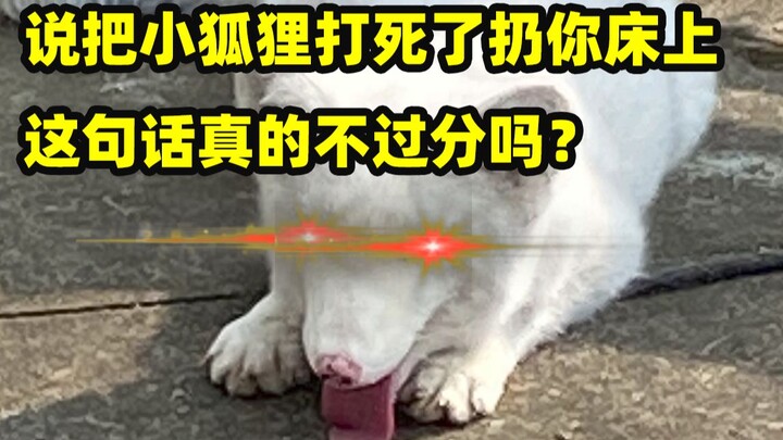 The black-hearted up lets foxes steal chickens every day, causing trouble to the village and doing a