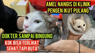 Matanya Jernih Tapi Buta Jalan Muter-Muter Dokter Sampai Bingung Menanganinya..!