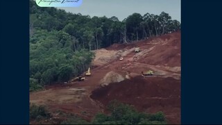 Aktris Angela Gilsha mengalami insiden tak menyenangkan saat berkunjung ke Raja Ampat, Papua Barat D