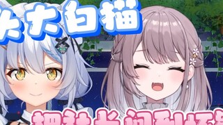 [มิซึกิ & เอลซ่า] แมวขาวตัวใหญ่: มีร้านอาหารในญี่ปุ่นที่คุณสามารถดื่มนมได้มากเท่าที่ต้องการไหม? ประธ