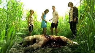 To save a Dog, they enter a Grassy Area but quickly realise there is No Way Out | Movie Story Recaps