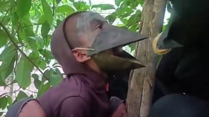 Strange animals seen in the country 🤣🤣🤣🤣