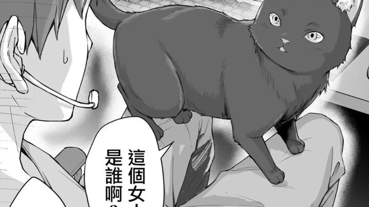 (เสริม) Yandere Cat เวอร์ชันเก่า/ปรับปรุงใหม่ (คำแนะนำนี้ 011)