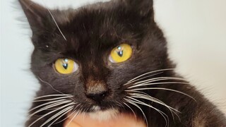 新年第一绑，孔老师差点又一年抬不起头