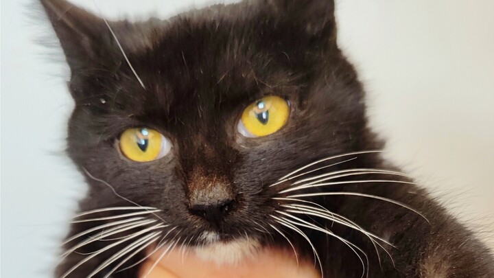 新年第一绑，孔老师差点又一年抬不起头