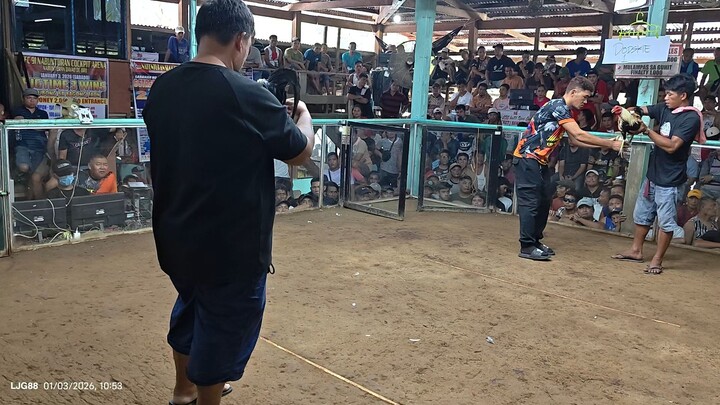 3hits Ulutan @ CFC 91 Gallera, 1st fyt, Kanawayon in action