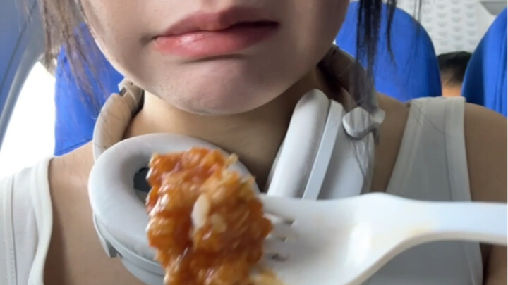 I'm really angry about the airline's meal.