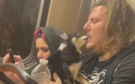 อืม...วันนี้ก็เป็นวันปกติอีกวันหนึ่ง