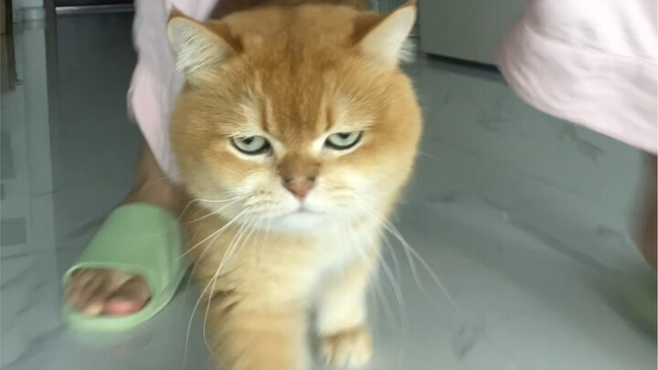 I can’t even imagine how it’ll trip me up when I’m old.