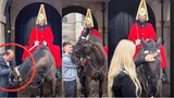 Unbelievable Moment: King's Life Guard Horse Recognizes Off-Duty Guard! 🐴🤩