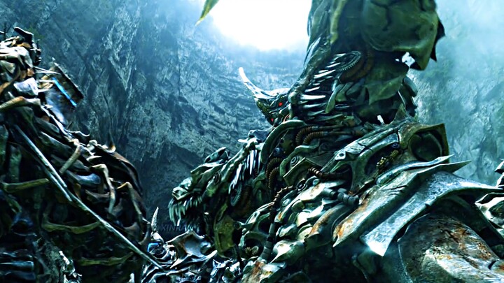 “Rare footage of early Optimus Prime taming Hakiso!”