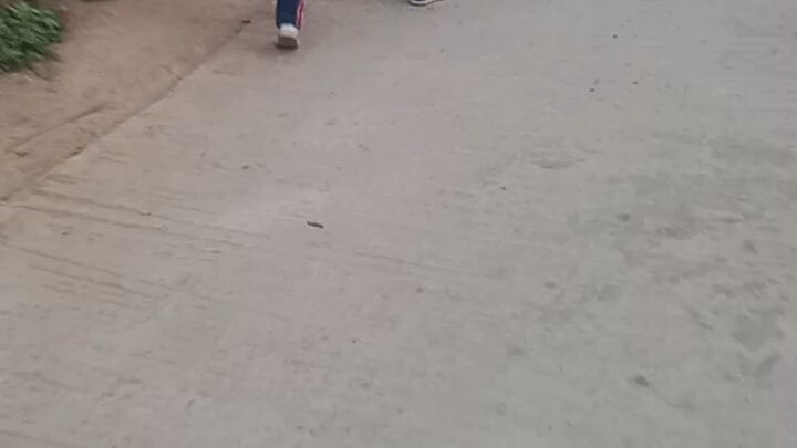 nachineko hota