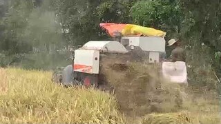 Máy Cắt Lúa KUBOTA l Chạy Như Máy Bay l Máy Gặt Đập Liên Hợp