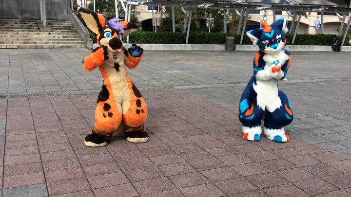 重新上傳【Fursuit Dance】快樂合成器(ハッピーシンセサイザ) Dancer丹波&リオン