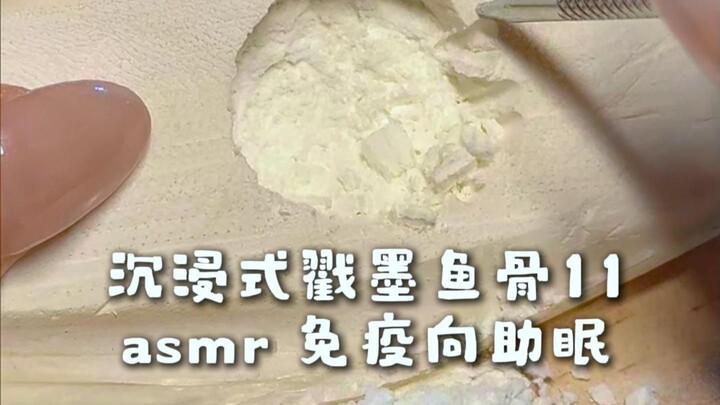 ASMR Immersive Squid Bone Poking 11: Boosts Immunity and Aids Sleep