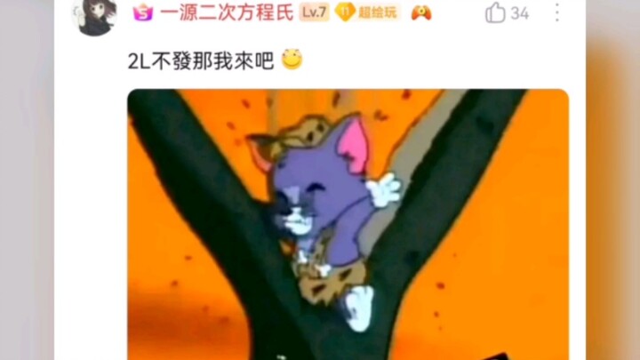 Bodoh sekali jika menantang tim kucing dan tikus (9)